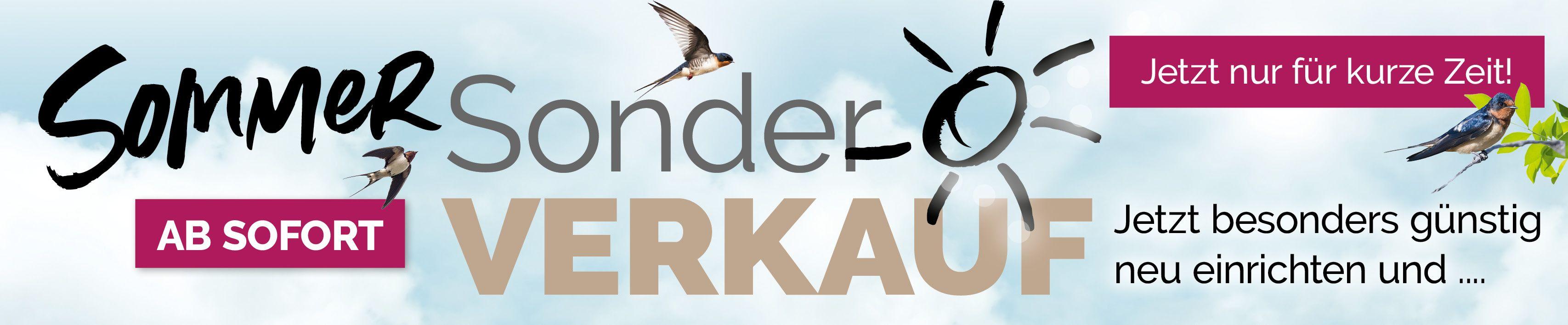 Sommer-Sonderverkauf Werbebanner im Querformat mit Schwalben, Sonne-Symbol und Text "Jetzt nur für kurze Zeit!" sowie "Jetzt besonders günstig neu einrichten und...