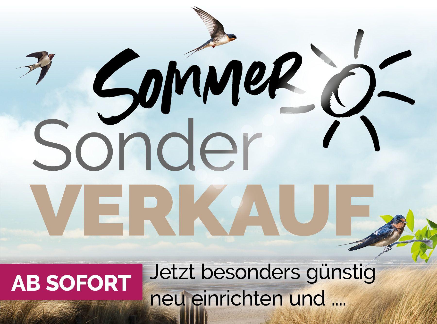 Sommer-Sonderverkauf Werbebanner mit fliegenden Schwalben, Sonne-Symbol und Text "AB SOFORT - Jetzt besonders günstig neu einrichten und..